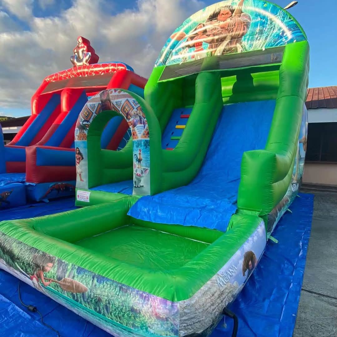 Toboggan vert décor Vaiana avec piscine